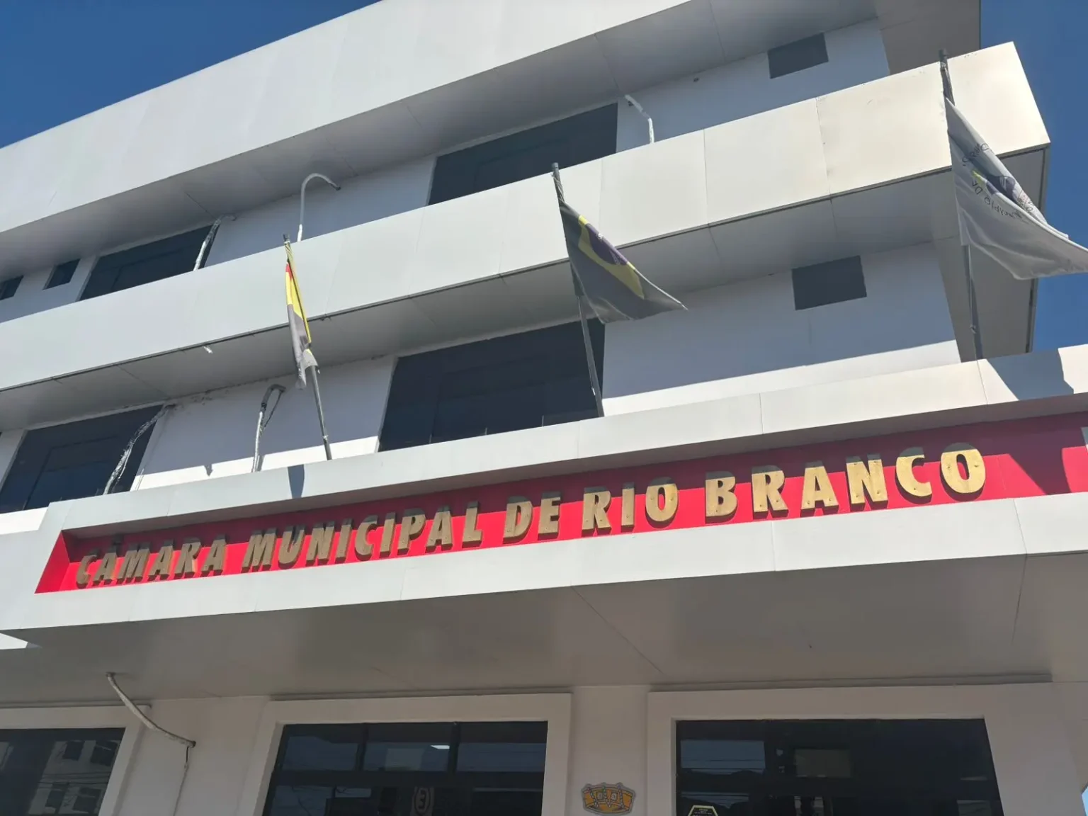 Rio Branco Realiza Audiência Pública sobre Conscientização da Síndrome Alcoólica Fetal Imagem do artigo