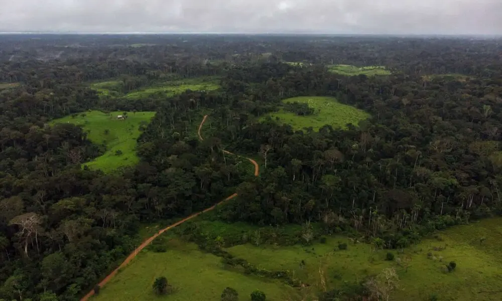 Justiça Suspende Normas do Acre que Isentavam Licenciamento Ambiental Imagem do artigo