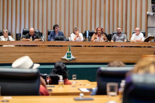 Homenagem à Cultura: Arte-Educadores e Professores Receberam Reconhecimento na CLDF Imagem do artigo