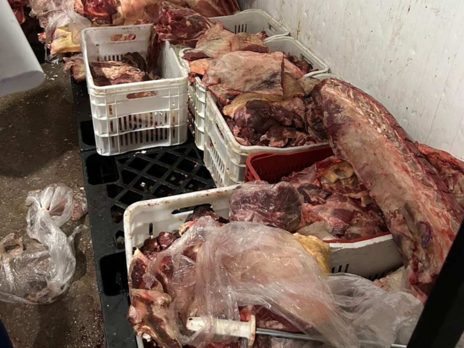 Apreensão de Quase Duas Toneladas de Alimentos Estragados em Supermercados do Acre