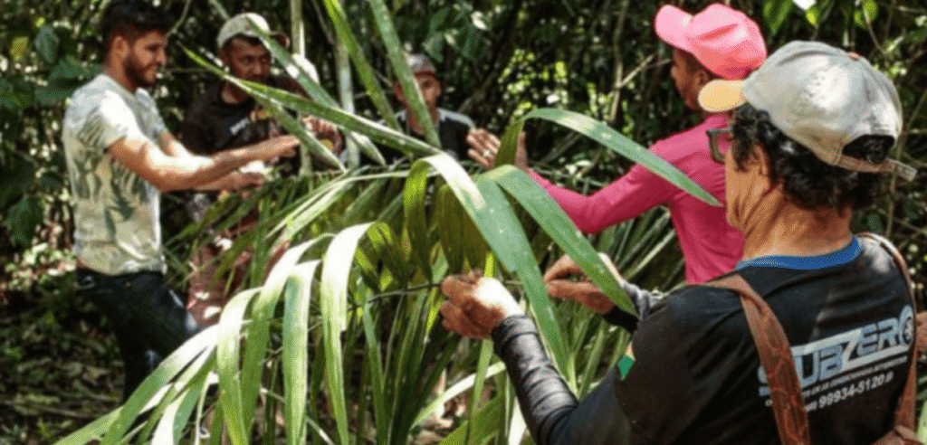 Brasil Integra Cultura e Meio Ambiente: Acordo Focado em Territórios Tradicionais