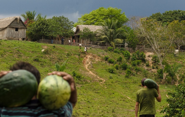 Entenda o Projeto Esperançar: Iniciativa Cultural e Ambiental no Acre Entenda o Projeto Esperançar: Iniciativa Cultural e Ambiental no Acre