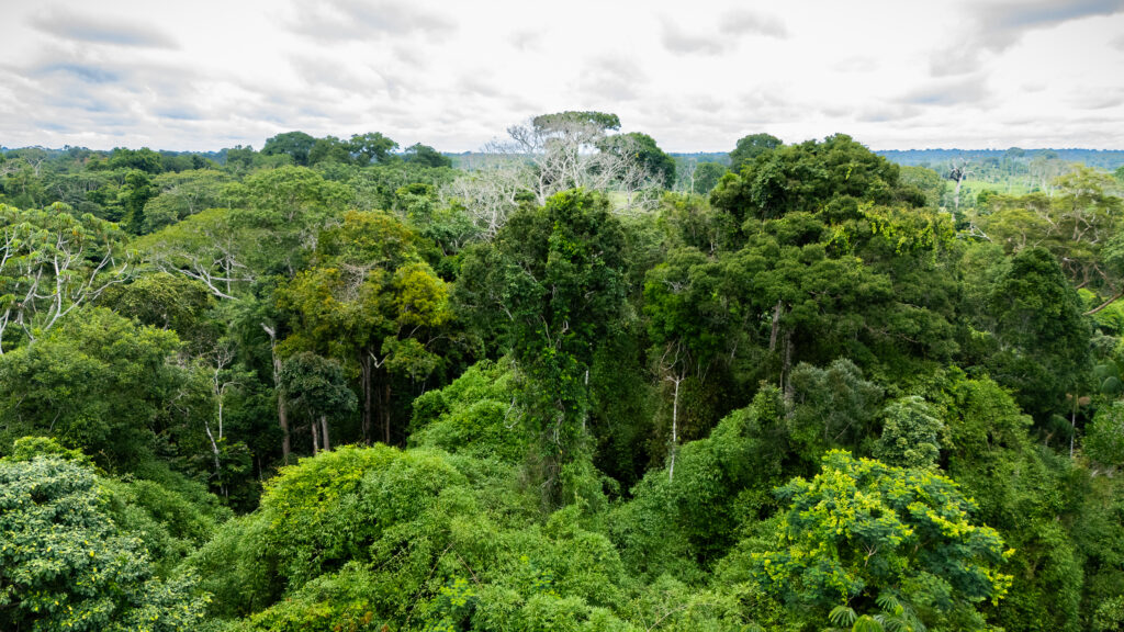Governo do Acre Lança Plataforma Digital para Transparência Ambiental Governo do Acre Lança Plataforma Digital para Transparência Ambiental