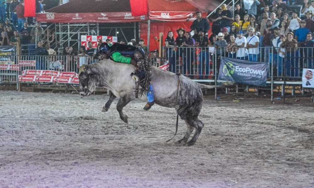 Rodeios e Apresentações Equestres no Calendário Oficial do Acre: Uma Nova Era para as Tradições Locais Rodeios e Apresentações Equestres no Calendário Oficial do Acre: Uma Nova Era para as Tradições Loca