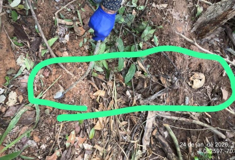 Suspeito de Homicídio Confessa Localização de Corpo em Cova Rasa no Acre Suspeito de Homicídio Confessa Localização de Corpo em Cova Rasa no Acre