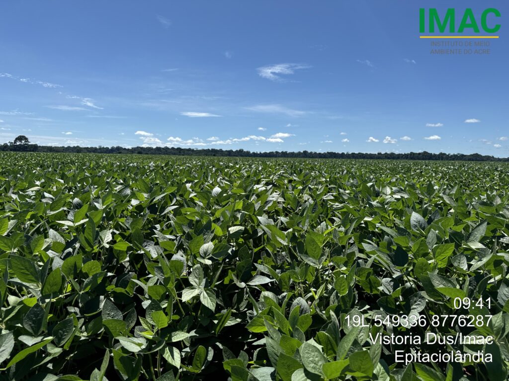 Acre Licencia 18 Mil Hectares para Cultivo Sustentável de Milho e Soja Acre Licencia 18 Mil Hectares para Cultivo Sustentável de Milho e Soja