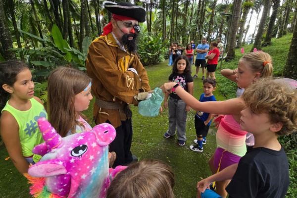 CarnaCultura em Ribeirão Pires: Alegria, Aventura e Cultura Infantil CarnaCultura em Ribeirão Pires: Alegria, Aventura e Cultura Infantil