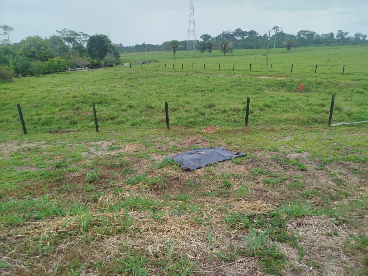 Homem Encontrado Morto à Margem da BR-317: Mistério no Interior do Acre