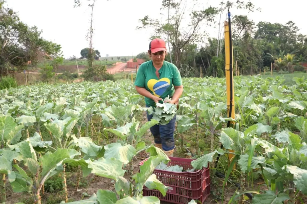 Seagri Anuncia Resultados de Chamada Pública para Cooperativas da Agricultura Familiar