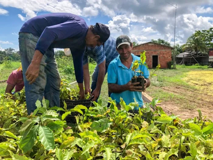 Seagri regulamenta credenciamento de produtores para fornecimento de mudas no Acre Seagri regulamenta credenciamento de produtores para fornecimento de mudas no Acre