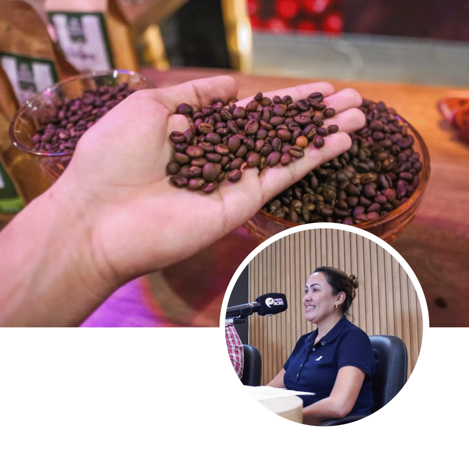 Café Acreano: Aposta na Qualidade e Expansão Internacional