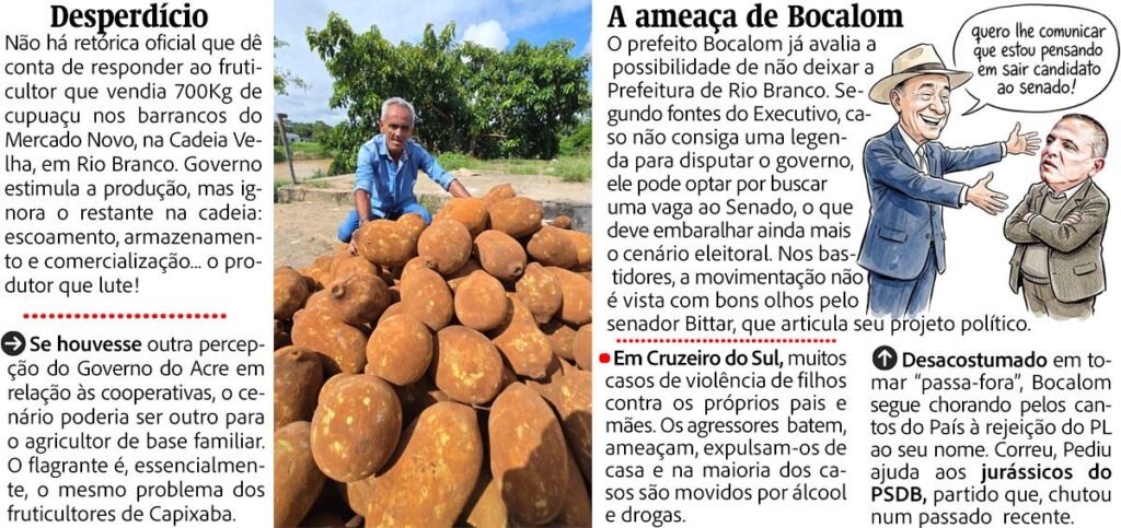Desafios e Oportunidades na Economia de Plácido de Castro: Uma Análise Abrangente