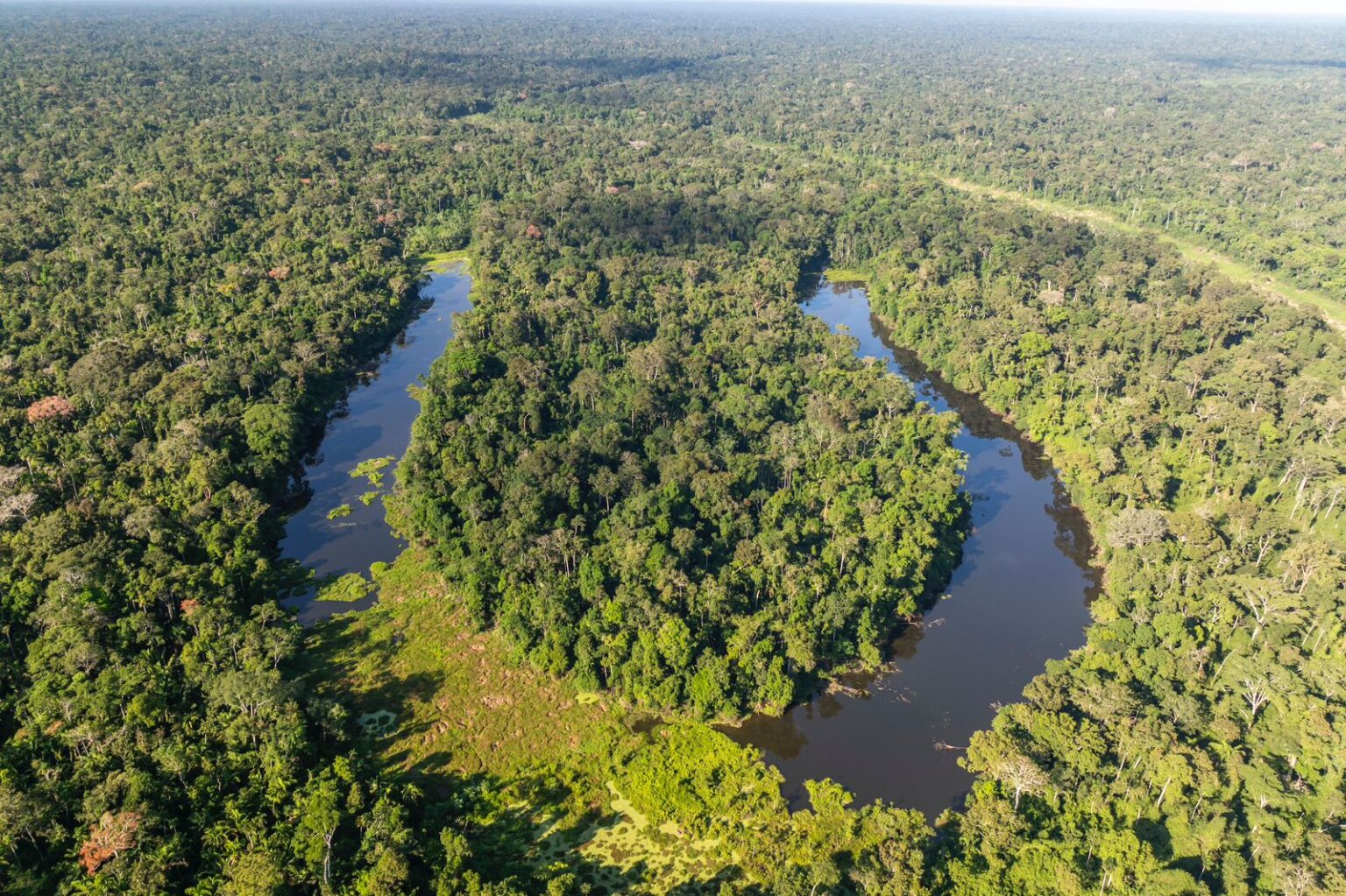 Do Acre para o Mundo: Como Inovações Ambientais Ajudam o Brasil a Cumprir o Acordo de Paris
