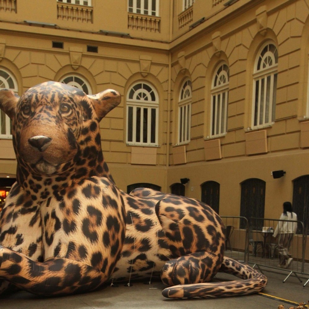 Meme: no Br@sil da Memeficação – Uma Exposição que Eleva o Meme à Cultura Meme: no Br@sil da Memeficação – Uma Exposição que Eleva o Meme à Cultura