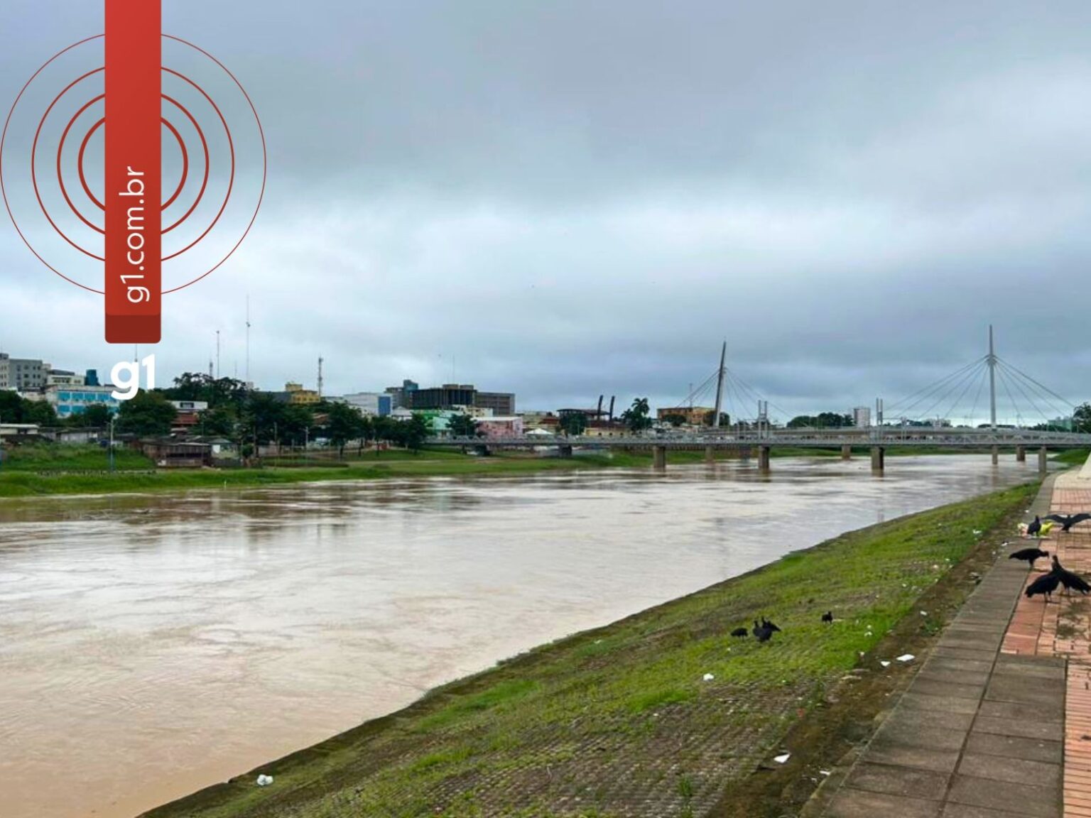Nível do Rio Acre em Rio Branco se aproxima da cota de alerta com chuvas intensas Nível do Rio Acre em Rio Branco se aproxima da cota de alerta com chuvas intensas