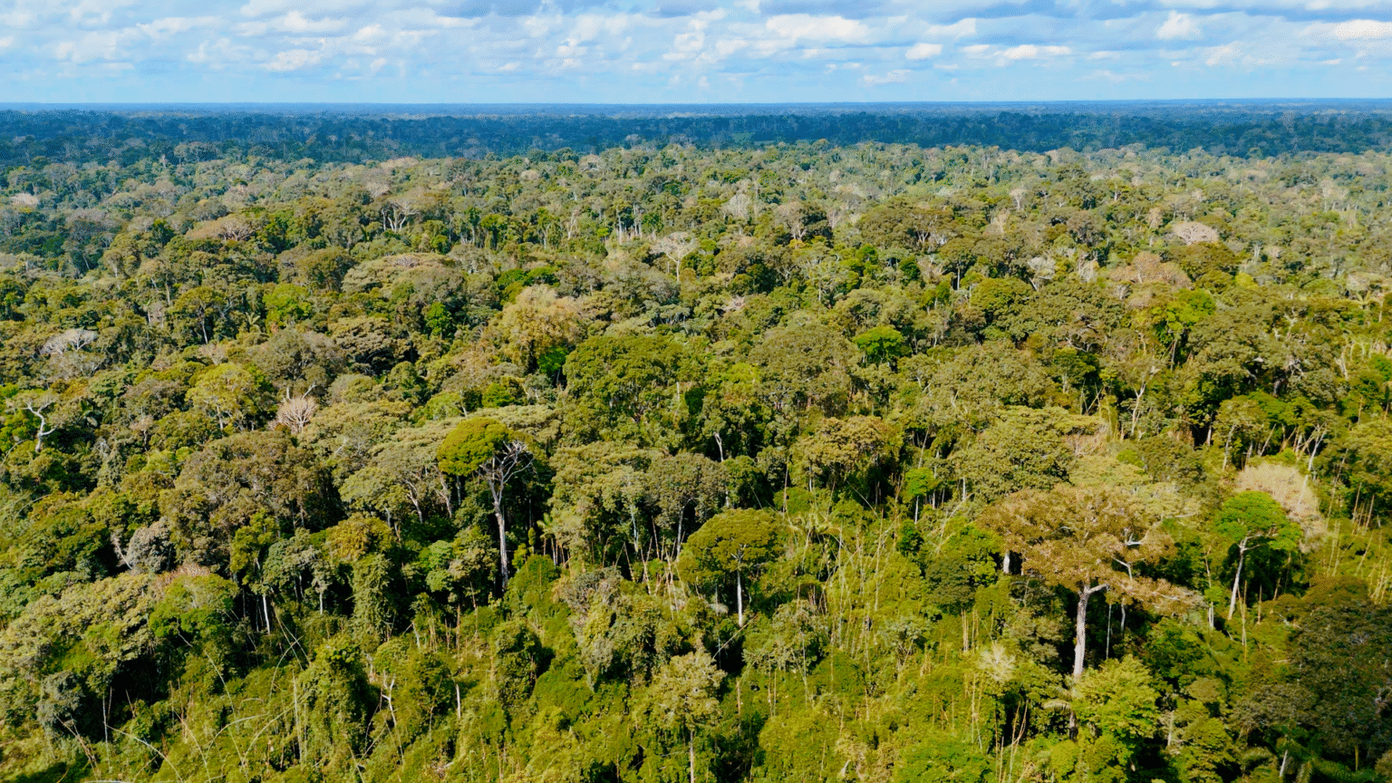 Nova Normativa Revoluciona Fiscalização Ambiental no Acre com Embargo Remoto Nova Normativa Revoluciona Fiscalização Ambiental no Acre com Embargo Remoto