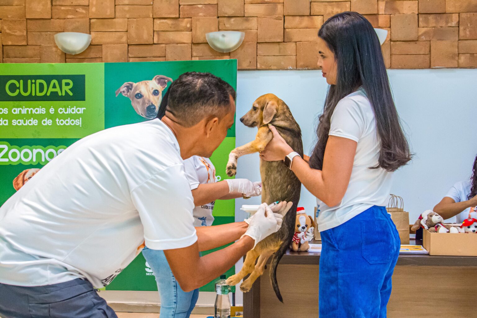 Vacinação Antirrábica para Cães e Gatos em Rio Branco: Ação Gratuita Neste Fim de Semana Vacinação Antirrábica para Cães e Gatos em Rio Branco: Ação Gratuita Neste Fim de Semana