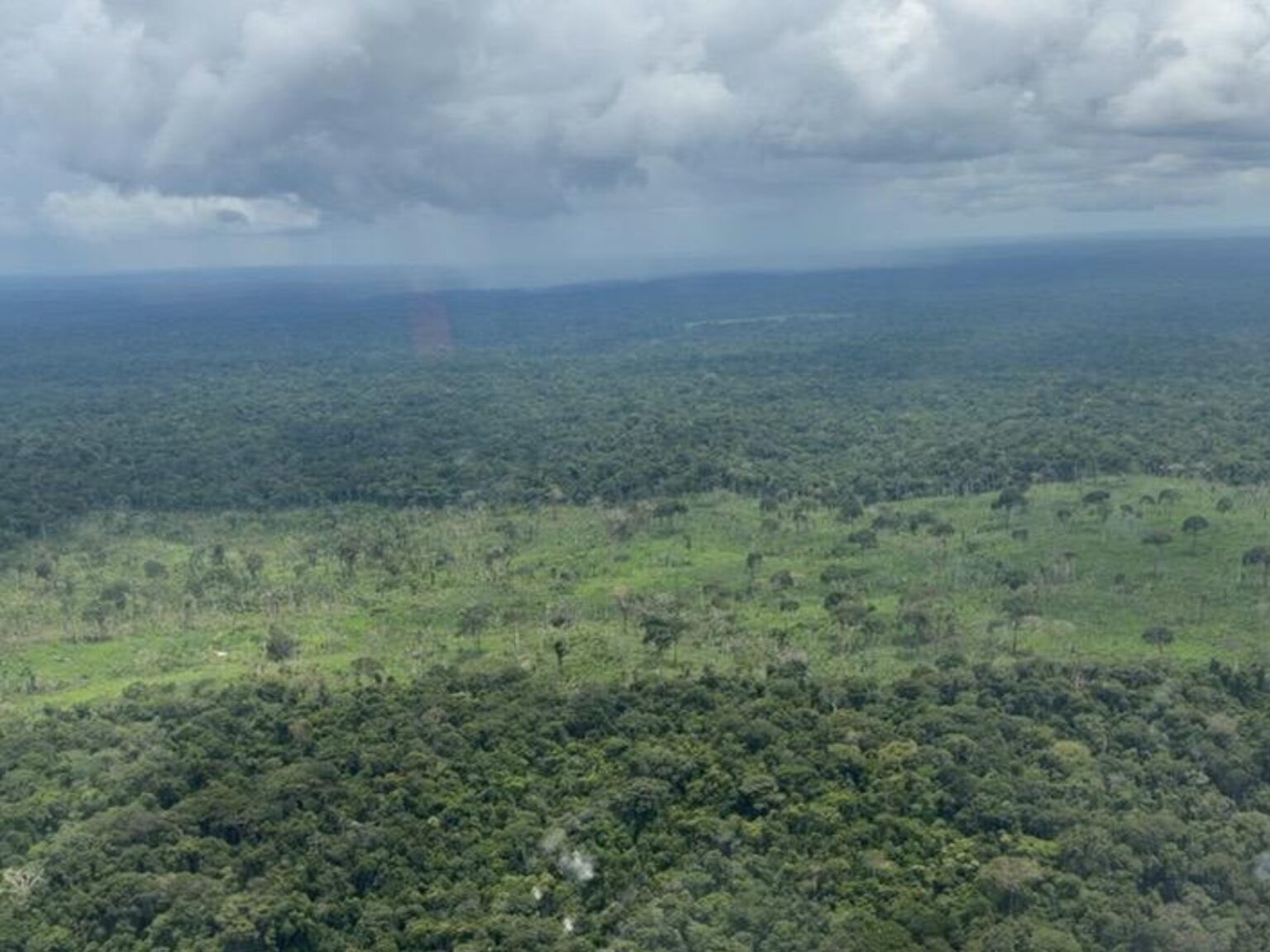 Desmatamento no Acre: Três cidades se destacam entre as mais afetadas na Amazônia
