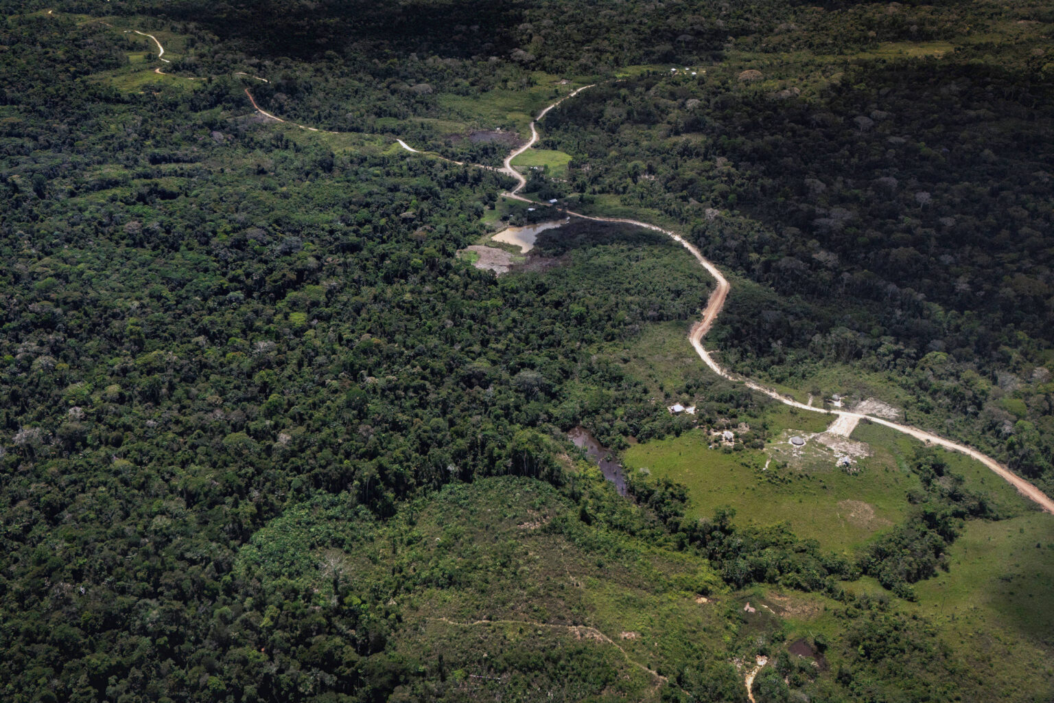 Estradas Ilegais na Amazônia: Como o Poder Público Acelera o Desmatamento