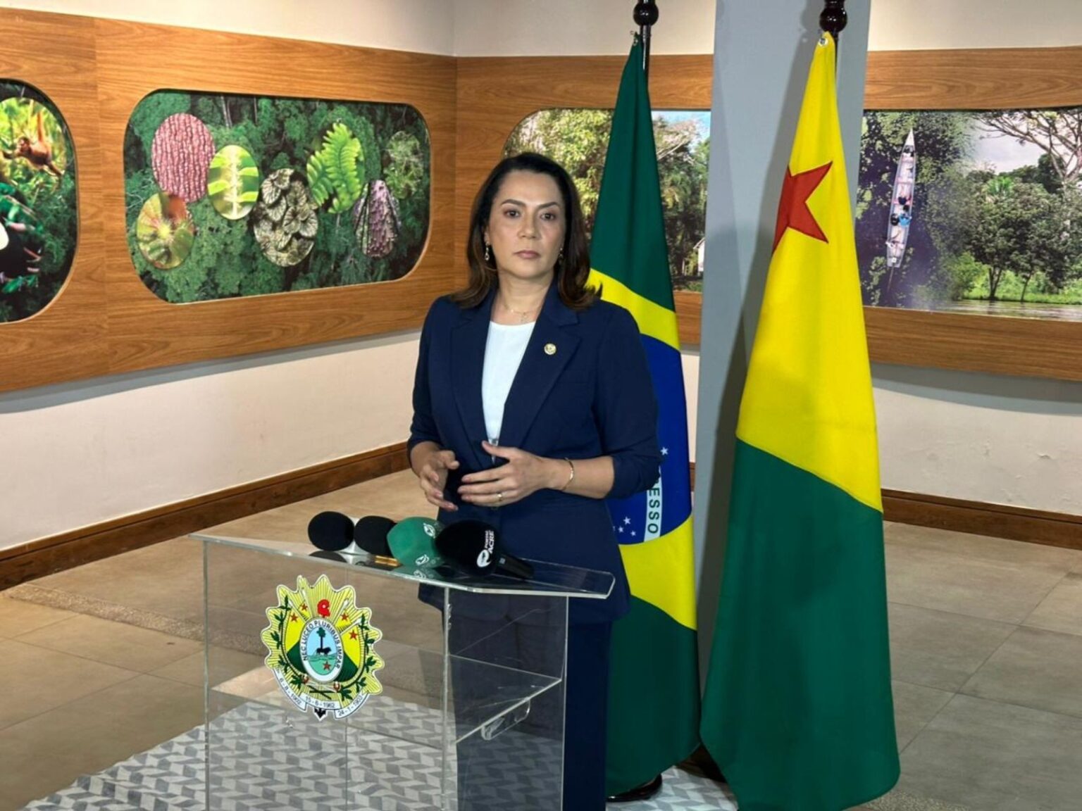 Estratégias de Saúde e Infraestrutura na Gestão de Mailza Assis: O que Esperar? Estratégias de Saúde e Infraestrutura na Gestão de Mailza Assis: O que Esperar?