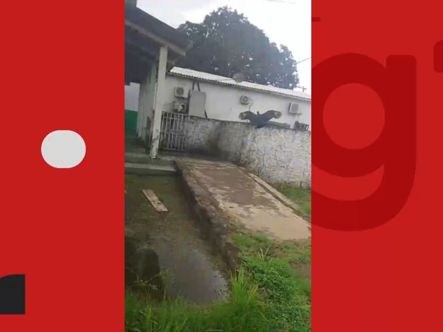 Família Denuncia Abandono de Corpo em Hospital do AC e Flagra Urubus no Local