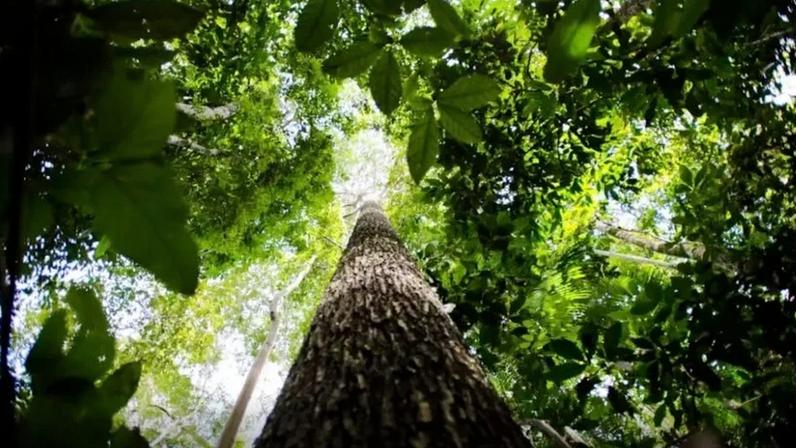 Governo Destina R$ 132 Milhões para Regularização Fundiária na Amazônia Governo Destina R$ 132 Milhões para Regularização Fundiária na Amazônia