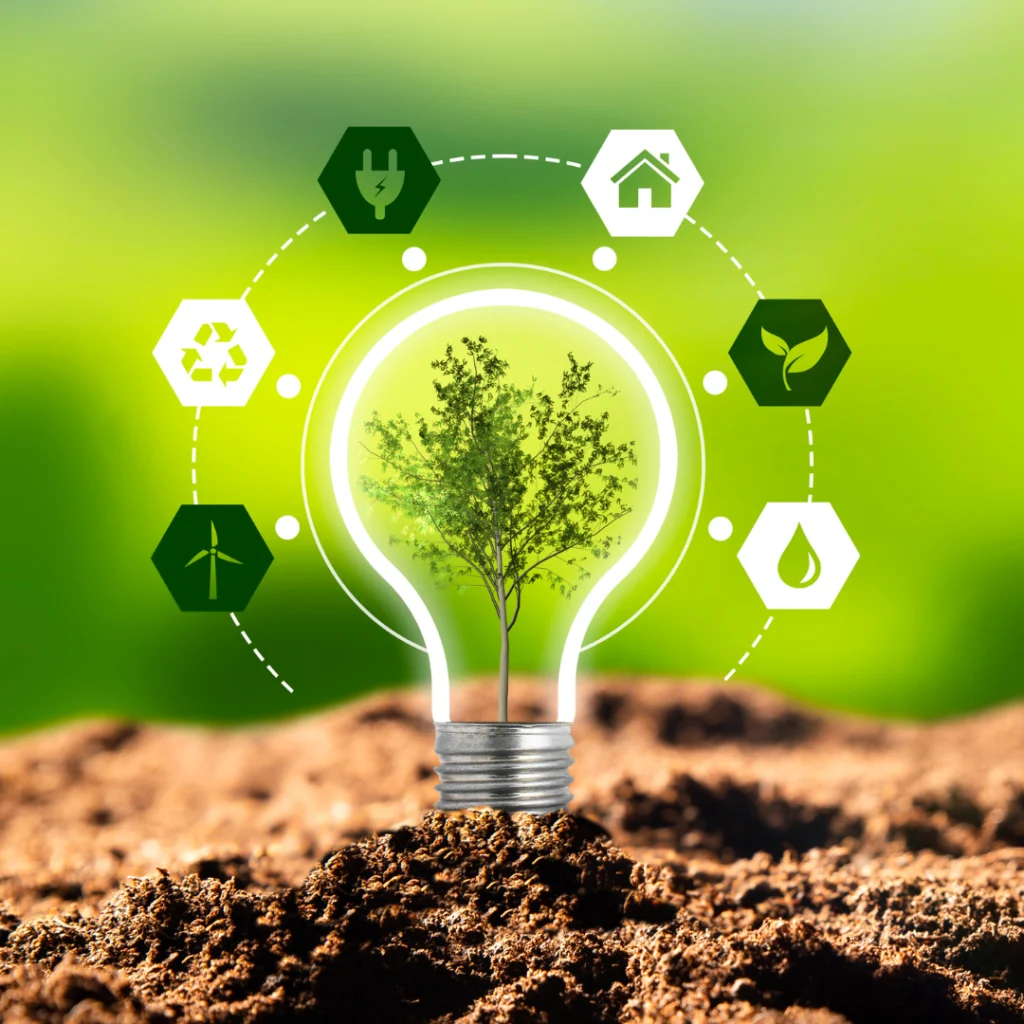 Indústria do Acre: Transformação Leve e Caminhos na Bioeconomia para Crescimento Sustentável