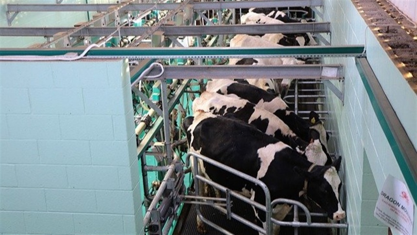 Iniciativa do Governo do Acre Fortalece a Pecuária Leiteira de Mais de 230 Produtores Iniciativa do Governo do Acre Fortalece a Pecuária Leiteira de Mais de 230 Produtores