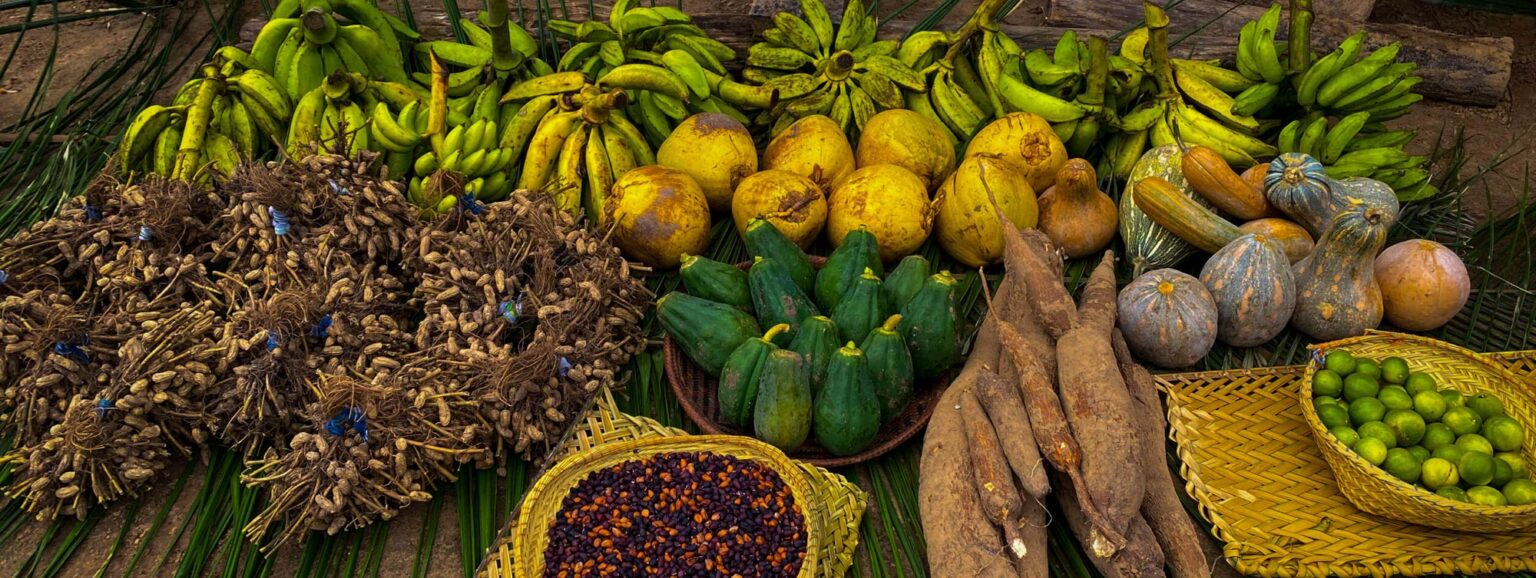 Nova Resolução do Governo Pode Impulsionar Aquisição de Alimentos Locais para Escolas de Povos Tradi