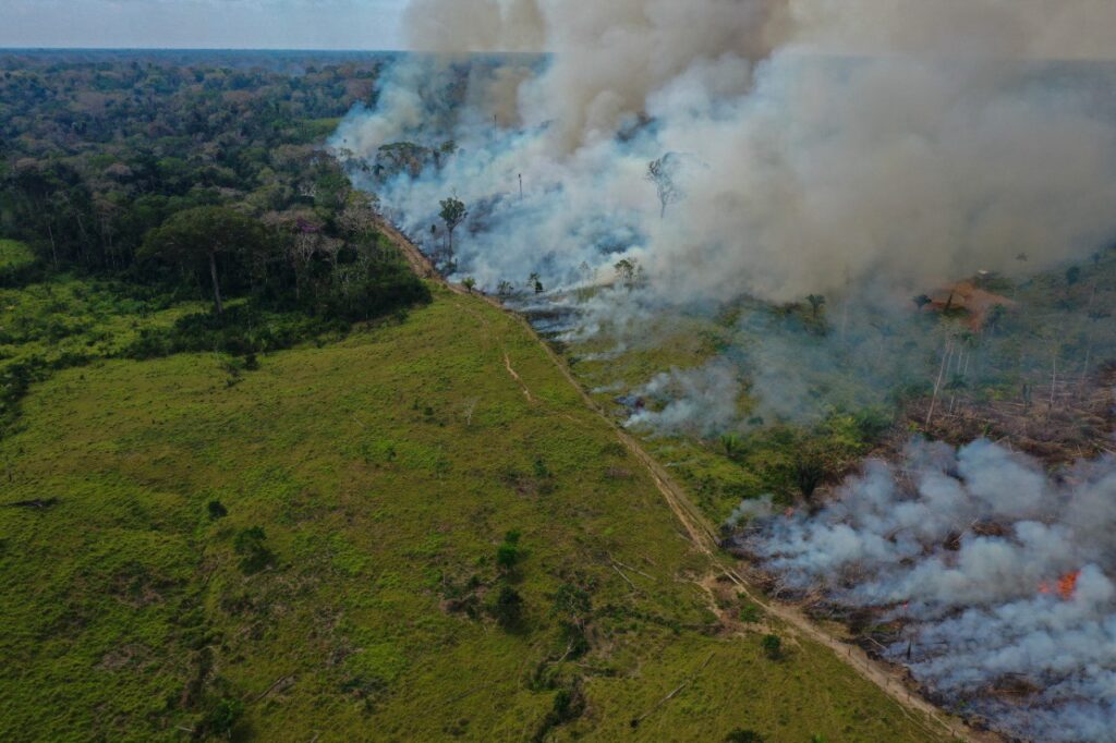 Queimadas no Acre: Quatro Focos Registrados no Primeiro Trimestre de 2026