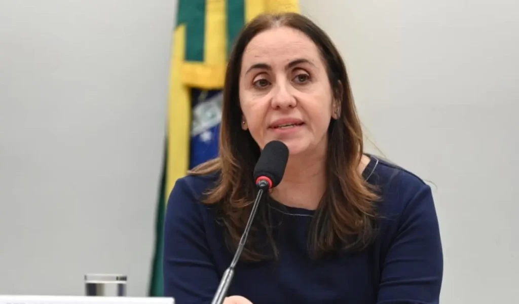 Comissão Discute Fatores Estruturais que Afetam a Economia Brasileira