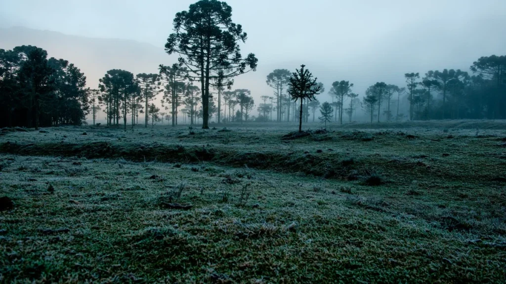 Mais frio e chuva acima da média: saiba como será o clima no Brasil em julho Mais frio e chuva acima da média: saiba como será o clima no Brasil em julho